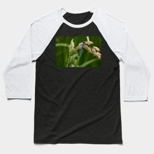 Common Blue Damselfly Baseball T-Shirt